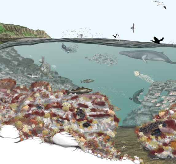 Today is #NationalPoetryDay, the theme? The Environment💚

To celebrate this day we would like to share a #poem written by <a href="/NENorfolkSufflk/">Natural England Norfolk and Suffolk</a>'s very own Fiona Tibbitt, accompanied by a beautiful #illustration created by <a href="/Jackapod/">Jack S</a>  💚

So grab a coffee, sit back &amp; be transported🌅