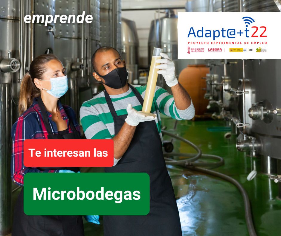 MITierradelVino's tweet photo. ‼️ El equipo ADAPT@+T22 te ofrece el servicio de #EMPRENDIMIENTO EN #MICROBODEGAS 🍇
✔️Orientación en idea de negocio💡
✔️Introducción al plan de empresa en el sector 📈
✔️Seguimiento del proyecto 🔎
📩 comunicacion@tierradelvino.es
📞 962 173 586
#AvalemTerritori @GVAlabora https://t.co/inbcw1O6CH