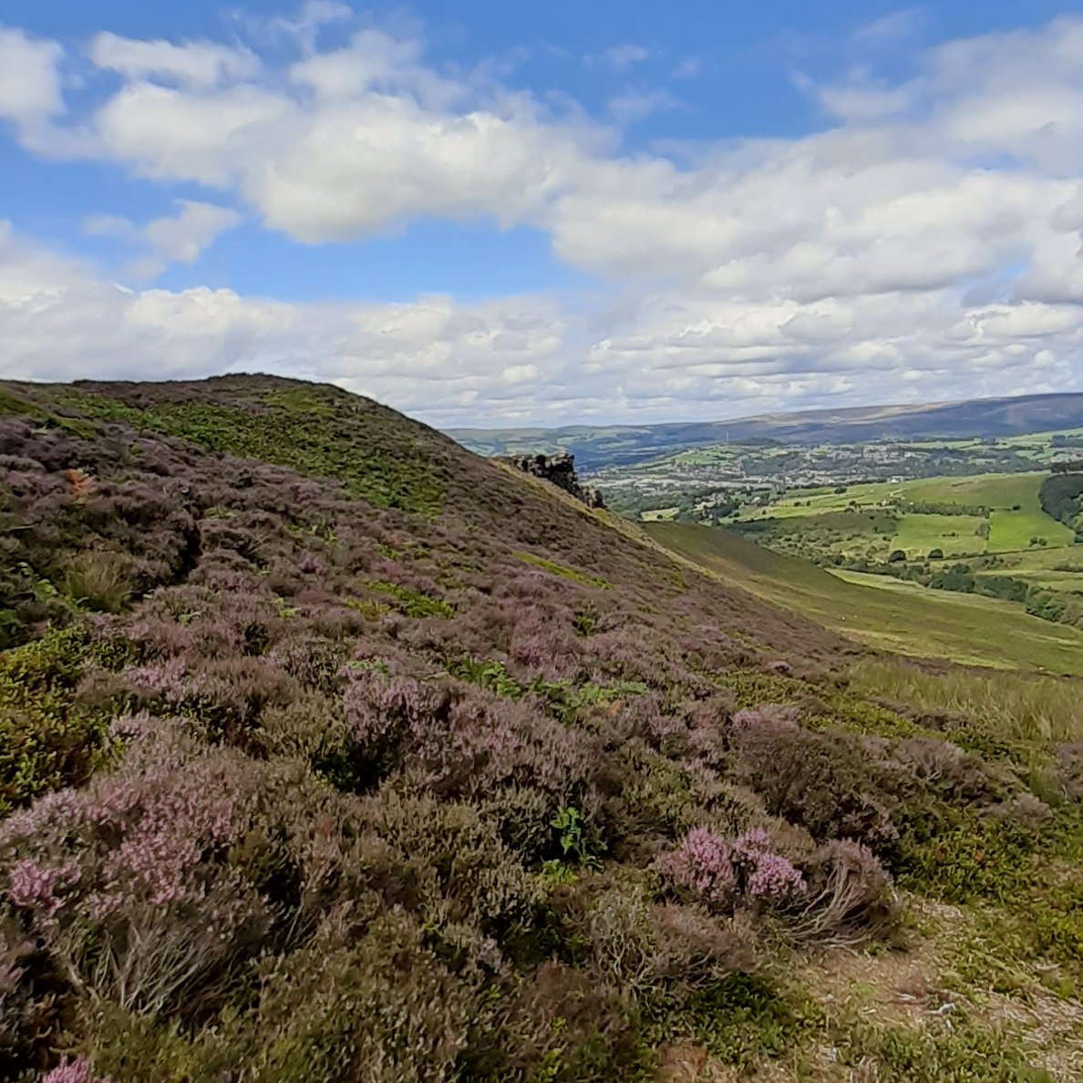 Hannah Mossman (@h_mossman) on Twitter photo Fully funded PhD working increase biodiversity of the Peak District National Park through #rewilding and #RegenerativeFarming. Chance to make a proper difference as its in partnership with <a href="/DerbysWildlife/">Derbyshire Wildlife Trust</a>. findaphd.com/phds/project/t⦠Fully funded PhD working increase biodiversity of the Peak District National Park through #rewilding and #RegenerativeFarming. Chance to make a proper difference as its in partnership with <a href="/DerbysWildlife/">Derbyshire Wildlife Trust</a>. findaphd.com/phds/project/tā¦
