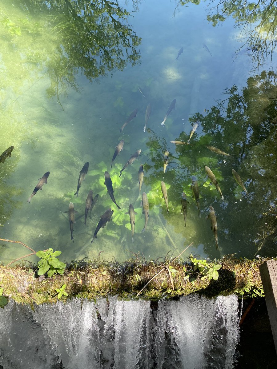 I’m asking those who love the outdoors to post a picture. A picture that YOU took. No description.  The goal is to restore peace harmony without negativity. Please copy the text put a picture on YOUR page and let’s look at these beautiful pictures.  Here’s mine .