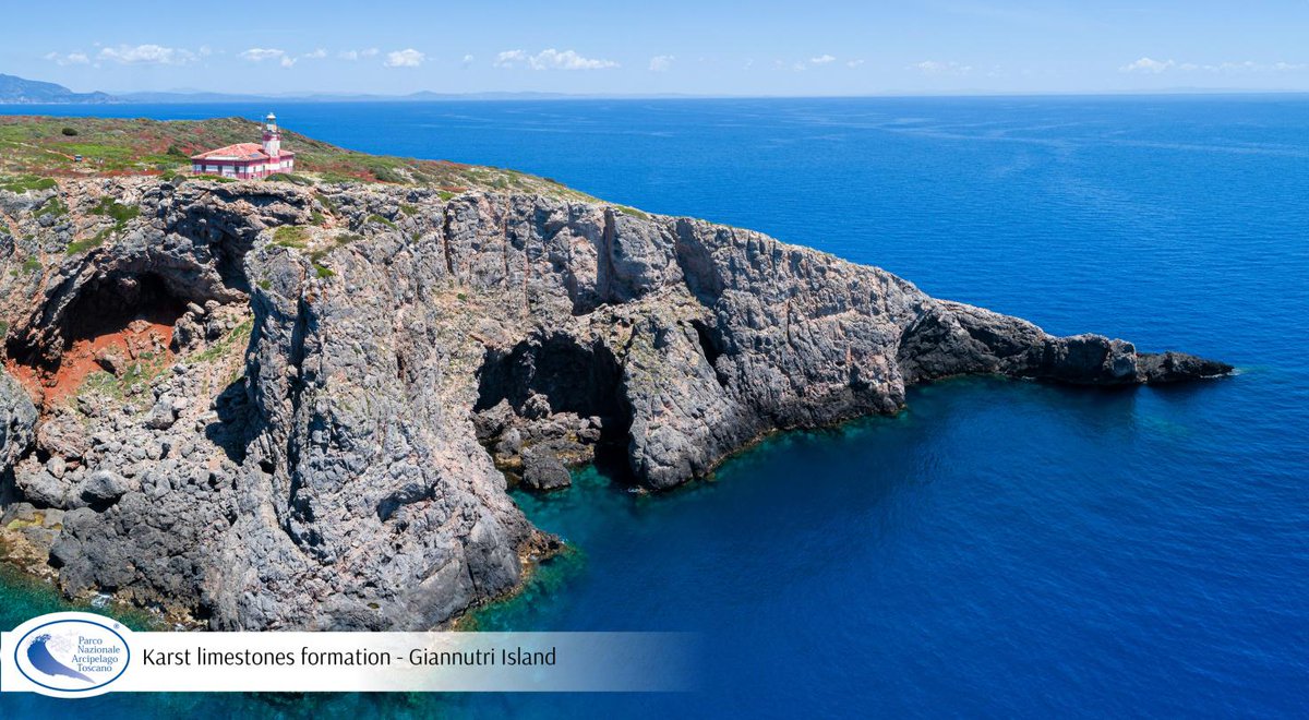 1a Giornata Internazionale della #Geodiversità
In primo piano il Patrimonio Geologico del PN Arcipelago Toscano Carsismo nei calcari cavernosi - Isola di #Giannutri
<a href="/UNESCO_MAB/">UNESCO Biodiversity</a> <a href="/IUCN_PA/">IUCN Protected and Conserved Areas</a> @MiTE_IT 
#GeodiversityDay 
#geological_heritage
#geotourism
#geosites
Ph Roberto Ridi