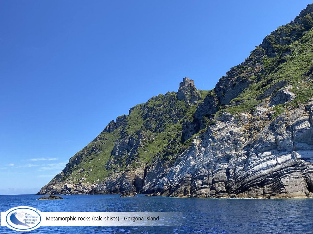 1st International  #GeodiversityDay
Celebrating the Geological Heritage of Tuscan Archipelago NP
Metamorphic rocks (calc-shists) - #Gorgona Island  
<a href="/UNESCO_MAB/">UNESCO Biodiversity</a> <a href="/IUCN_PA/">IUCN Protected and Conserved Areas</a> @MITE
#geoconservation
#geological_heritage
#geotourism
#geosites
#iucn_green_list
Ph Roberto Ridi