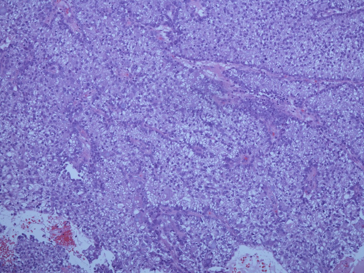 Trupti Mandalia tweet media