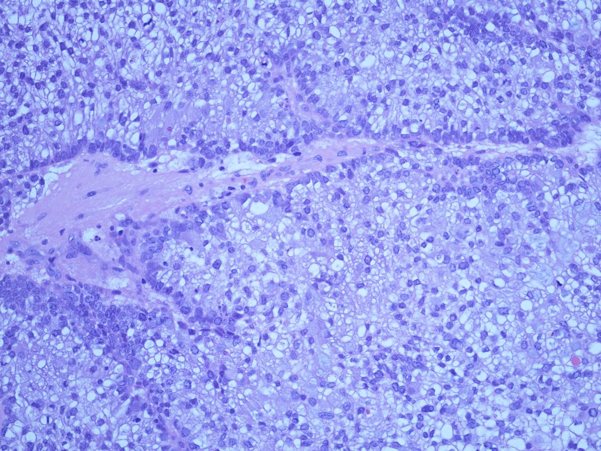 Trupti Mandalia tweet media