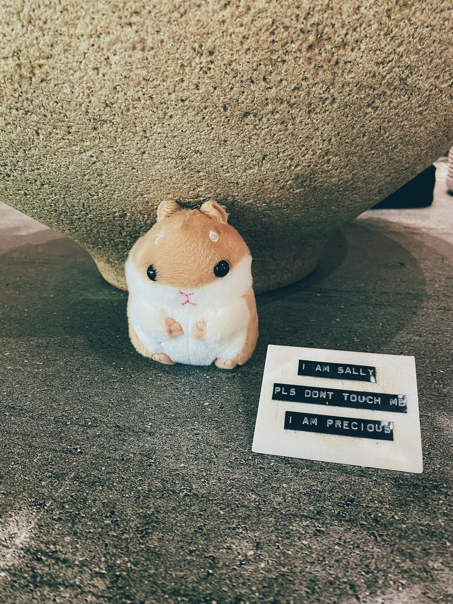 effwrites's tweet image. Sally IS precious. 🐹