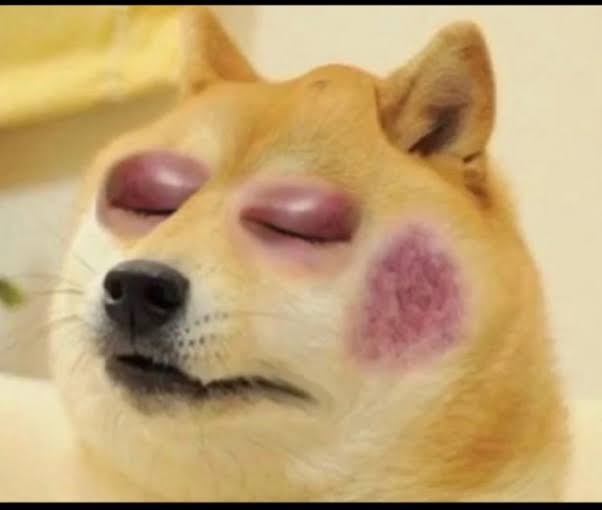 SomeTrichyguy's tweet photo. @pandamindvoice https://t.co/6qEXFABBrw