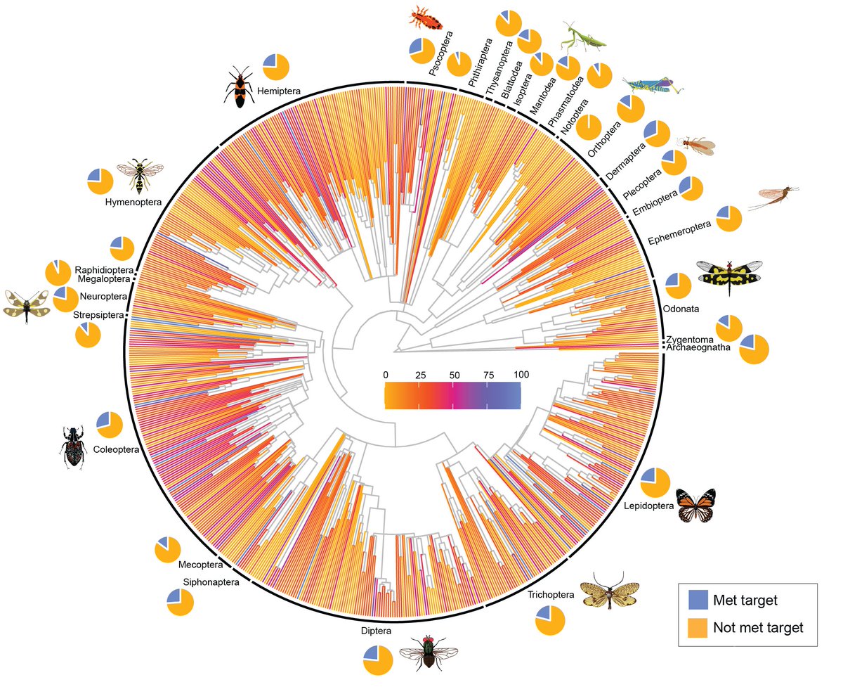 While PAs are a crucial part of biodiversity conservation, there has been little assessment of how well PAs conserve insects. In another study, we show that 76% of insect species are inadequately represented by PAs globally. dx.doi.org/10.21203/rs.3.… (2/17)