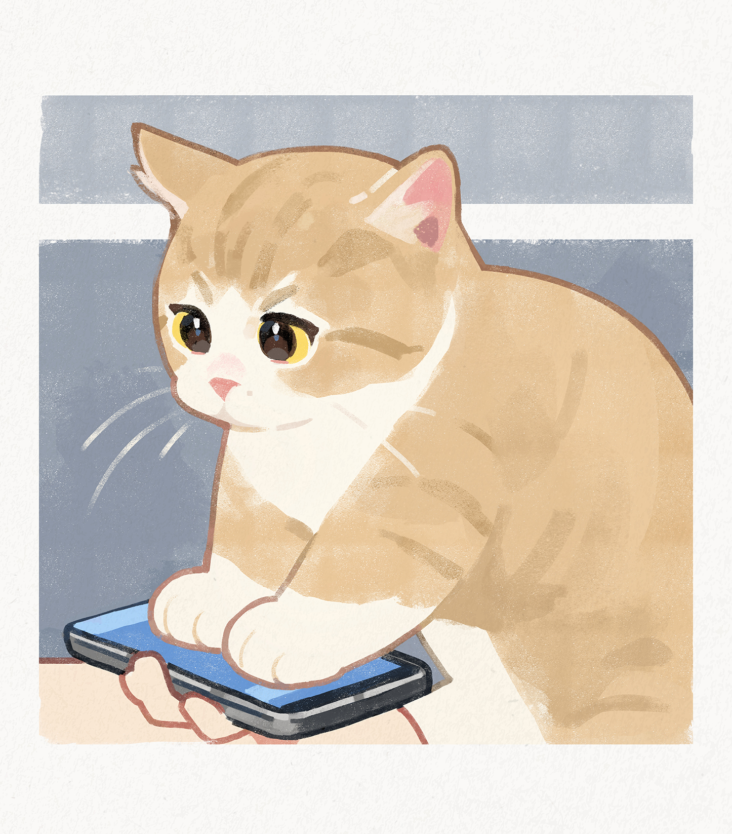 GENTLECAT on Twitter: "focus on me😠 https://t.co/R3Zpeh4Um9" / Twitter