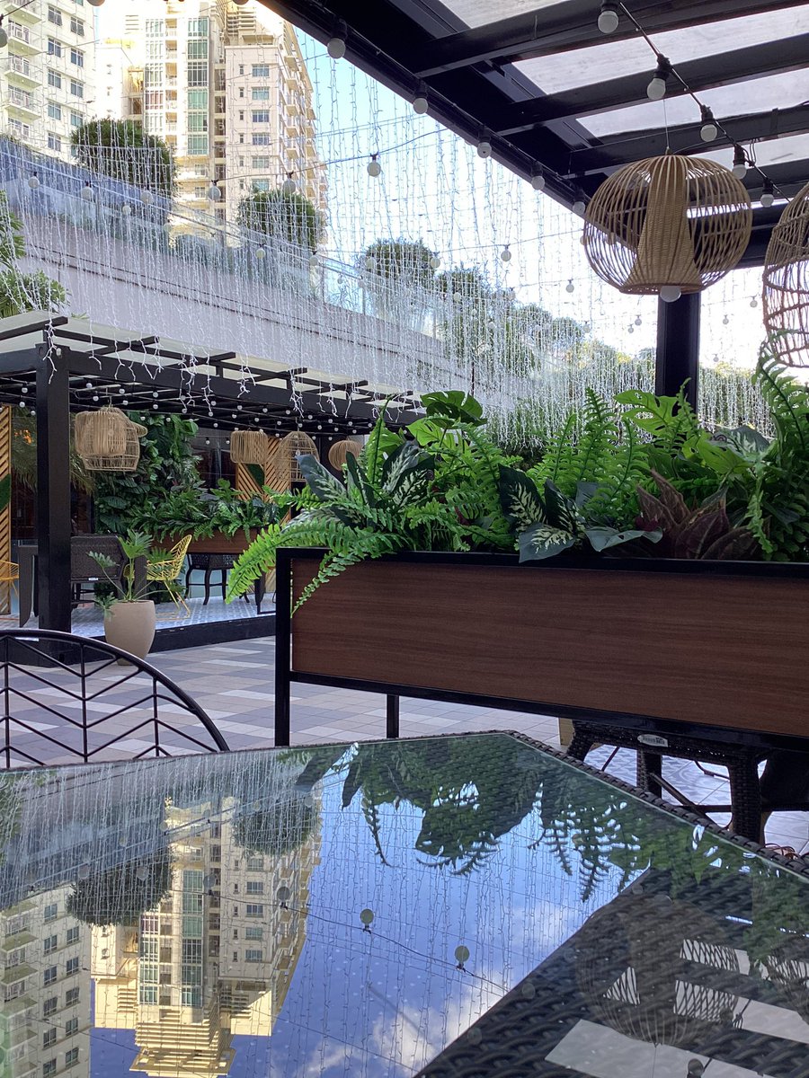 mat_verse's tweet image. my view while working 👩🏻‍💻