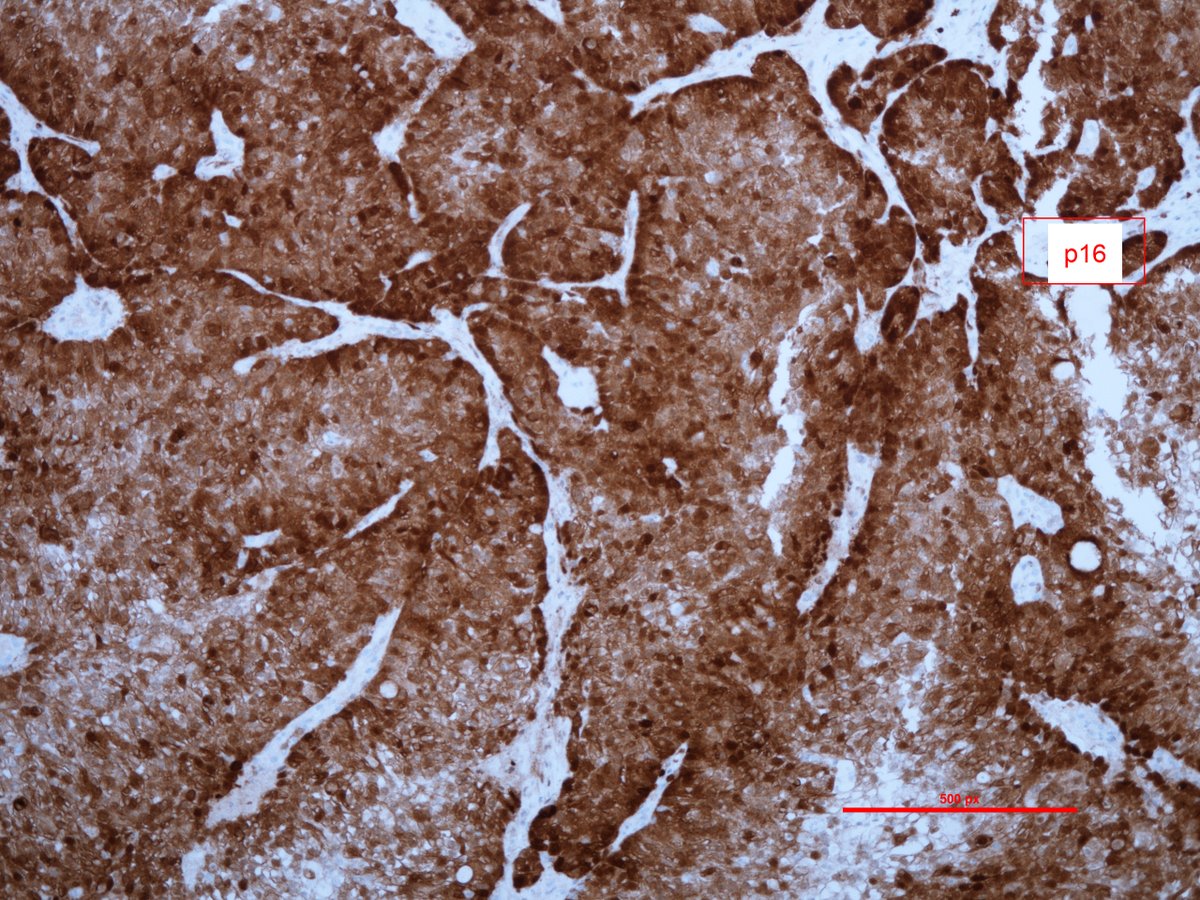 Trupti Mandalia tweet media