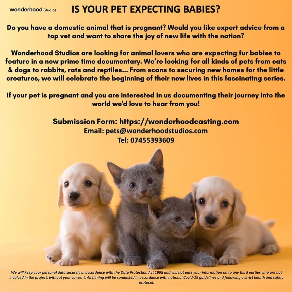 ESS Health tweet media