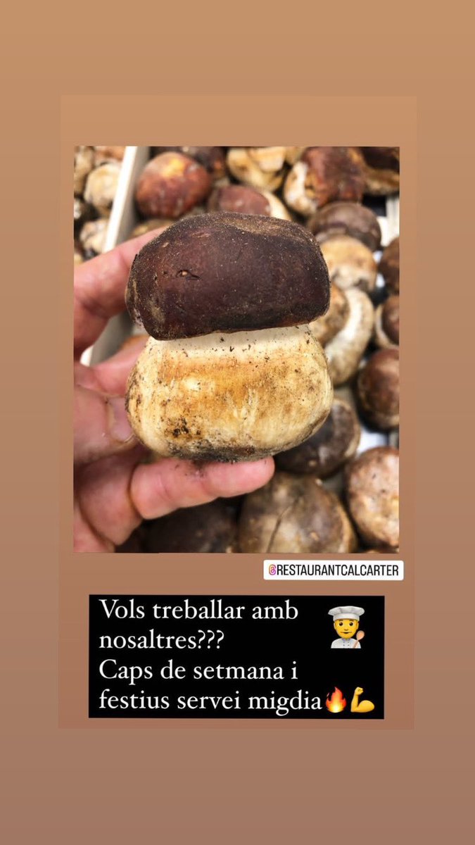 Cal_Carter's tweet image. Vols treballar els caps de setmana amb nosaltres??
Serveis només de migdia, bon ambient i molta gastronomia ❤️
I en un entorn immillorable, al Poblet de Mura!
