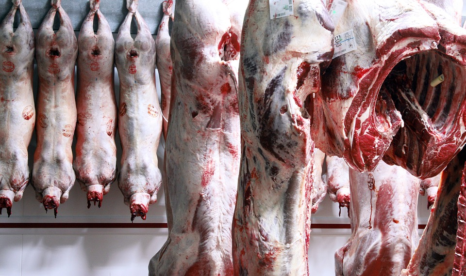 Stockfarmmag's tweet photo. Carcass quality affects the eventual meat quality. Read more about the importance of beef carcass quality on #AgriOrbit: https://t.co/Jv0nn1G54N.

@SantamInsurance @ObaroGroup @FNBSA @VleissentraalBs #taltec #agrigauteng #SISlivestockgroup #ENS @Elanco #octavoscene #GMPBasic https://t.co/cwMk82Q1DV