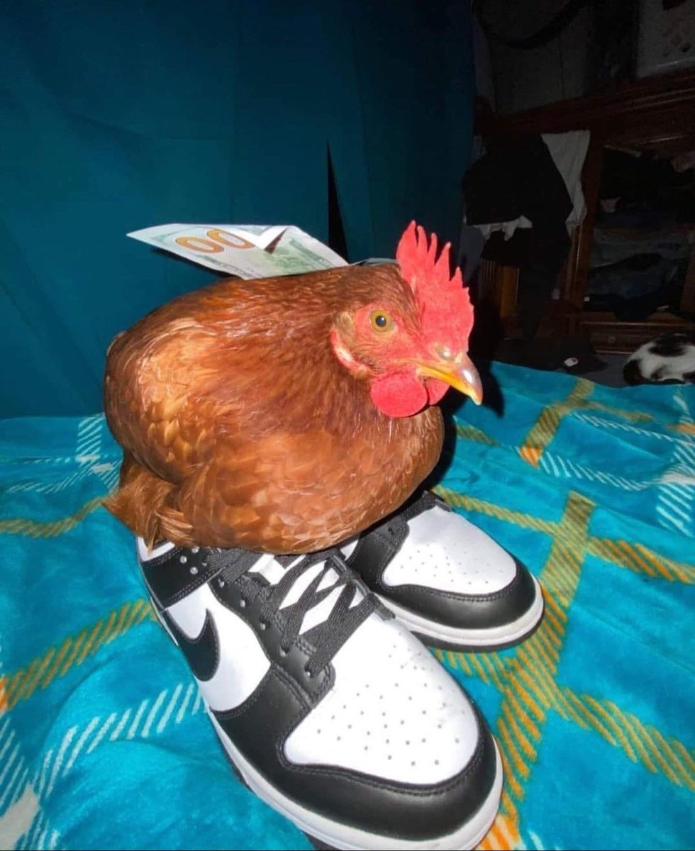 KIPCOIN.ETH (OvO, OvO) (@kipcoin_eth) on Twitter photo 