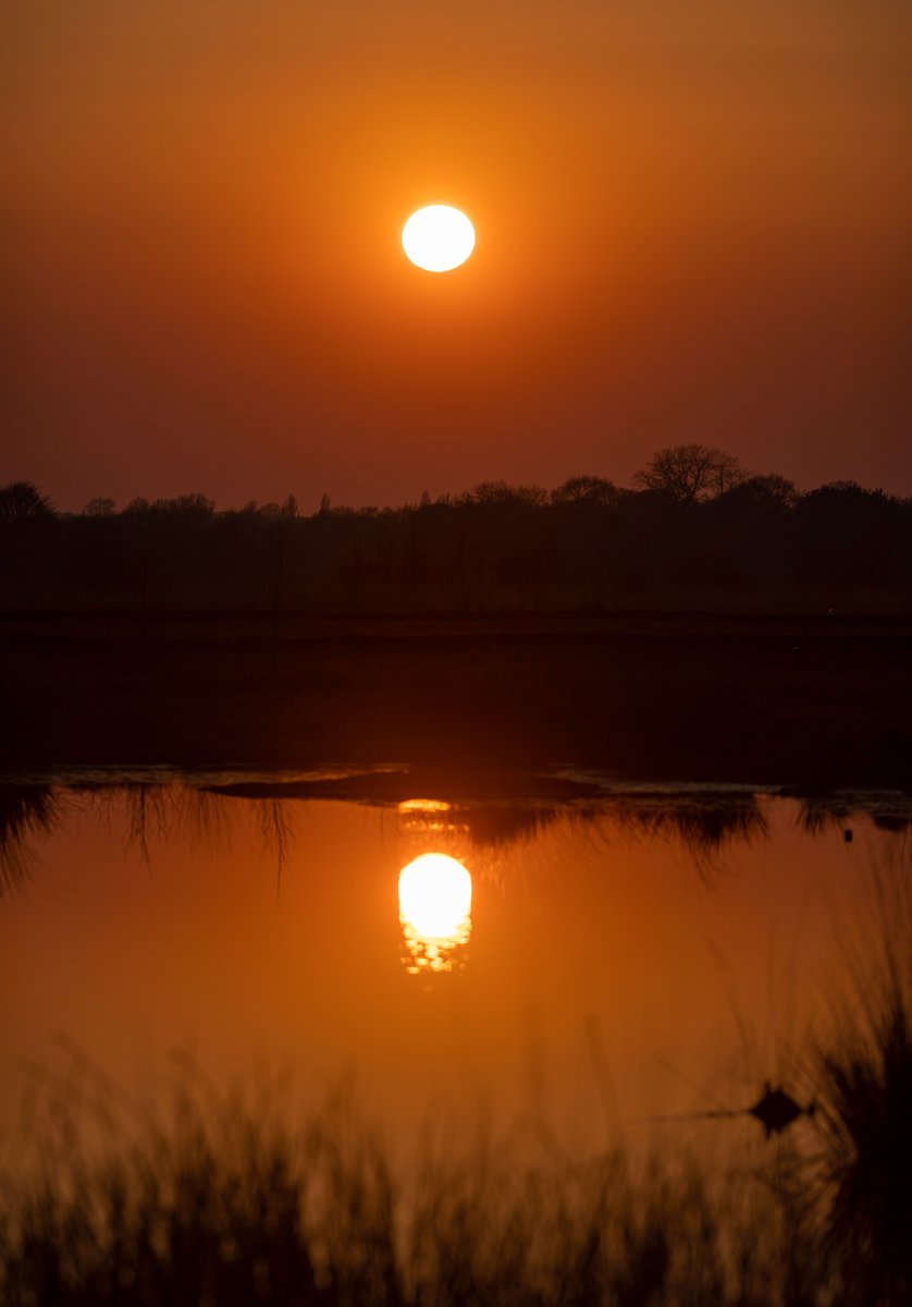 HarrisonPhair's tweet photo. Sunset over Little Woolden Moss #lakes
#Peat #Bog
🌅🌿🌤🌫
#sssi #siteofspecialscientificinterest
#peatbog #woolden #salford #chat #moss #chatmoss #countryside #landscape #sunset #nikon #z6 #300pf
#ancient #pond #boggy #reeds
#Nature #dusk #Tranquility #Evening #Reflection #Sky https://t.co/grNXU0AHak