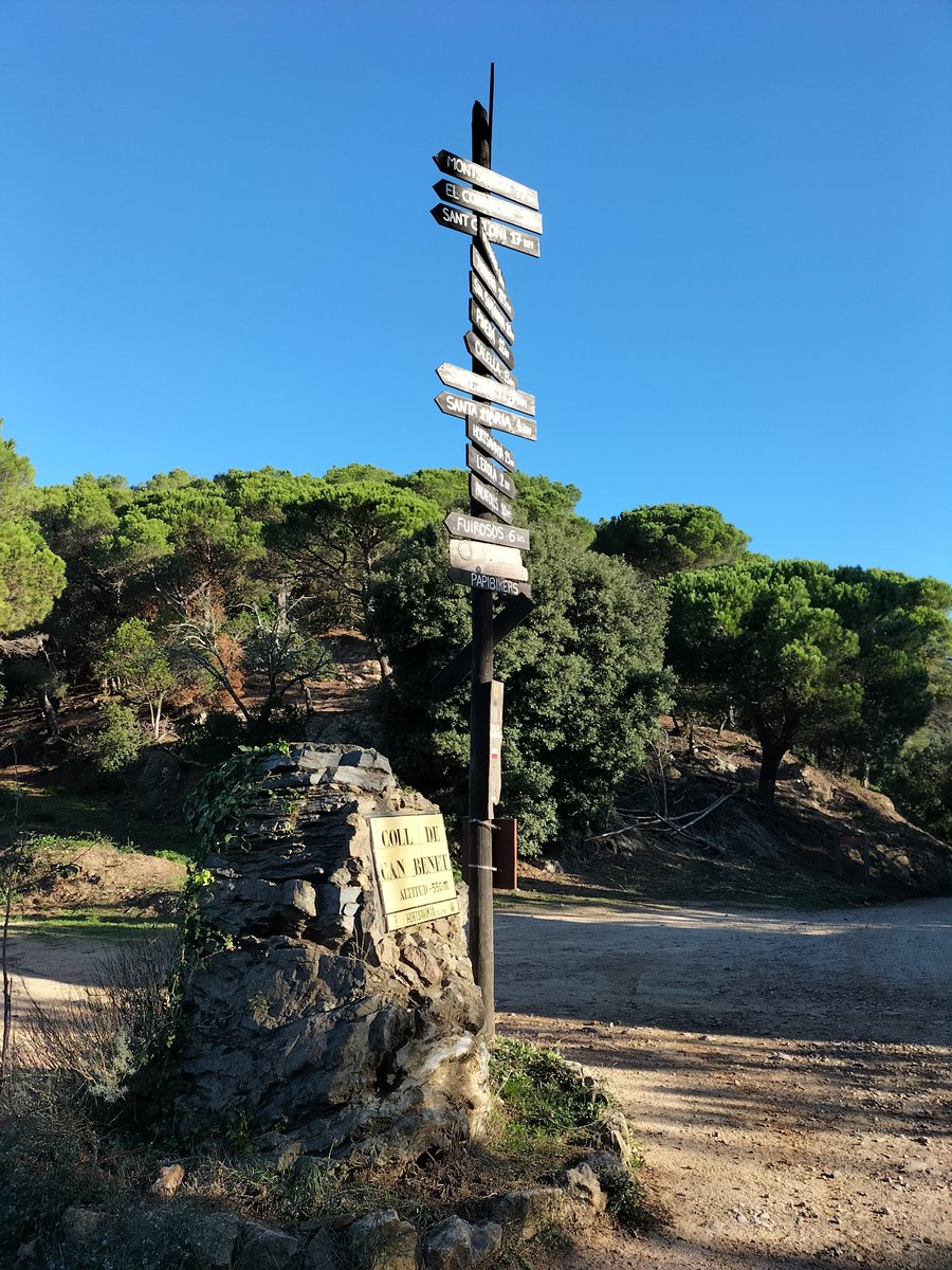 Marxa de la Llopa tweet media