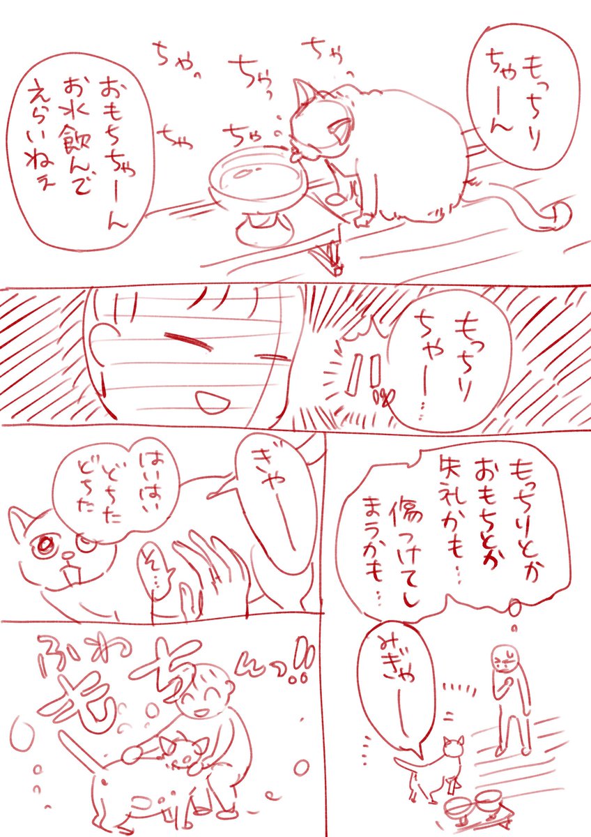 にゃんわんの呼び方って原形を留めなくなりますよね
餅なんて…と反省した直後
いやこりゃ餅だ!というのを繰り返しています 