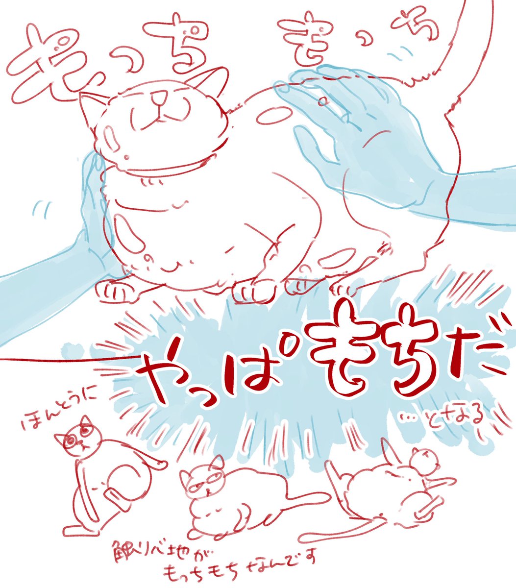 にゃんわんの呼び方って原形を留めなくなりますよね
餅なんて…と反省した直後
いやこりゃ餅だ!というのを繰り返しています 
