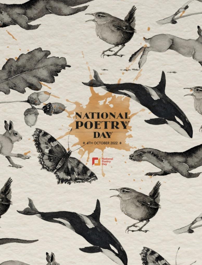 Falconhurst School tweet media