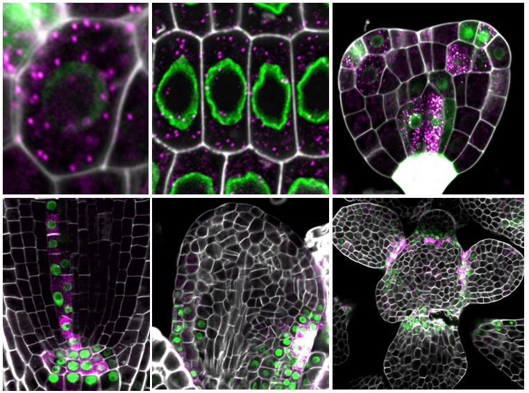 Alejandro Fonseca Cárdenas tweet media