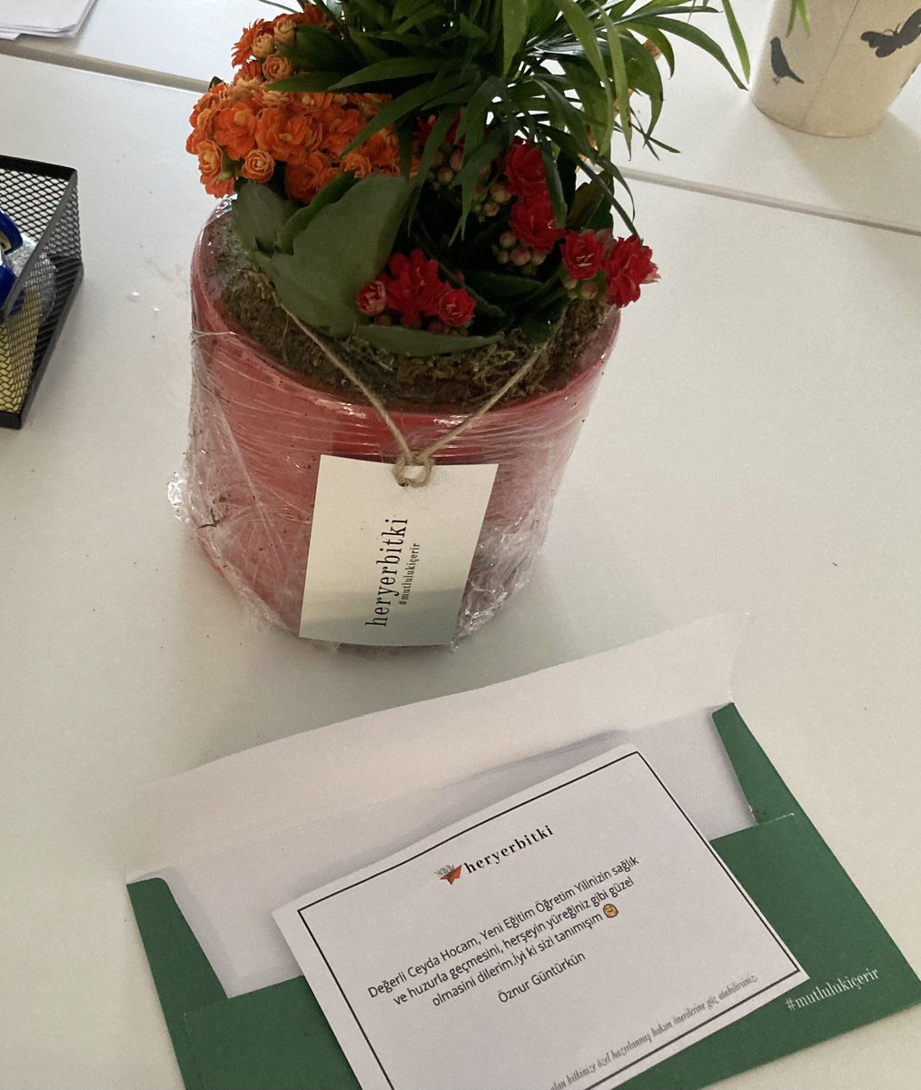 basmaciceyda's tweet photo. Dear @GunturkunOznur hocam Thank you so much for your heartfelt wishes and beautiful flowers❤️🙏🏻 https://t.co/qDRowPkJ08