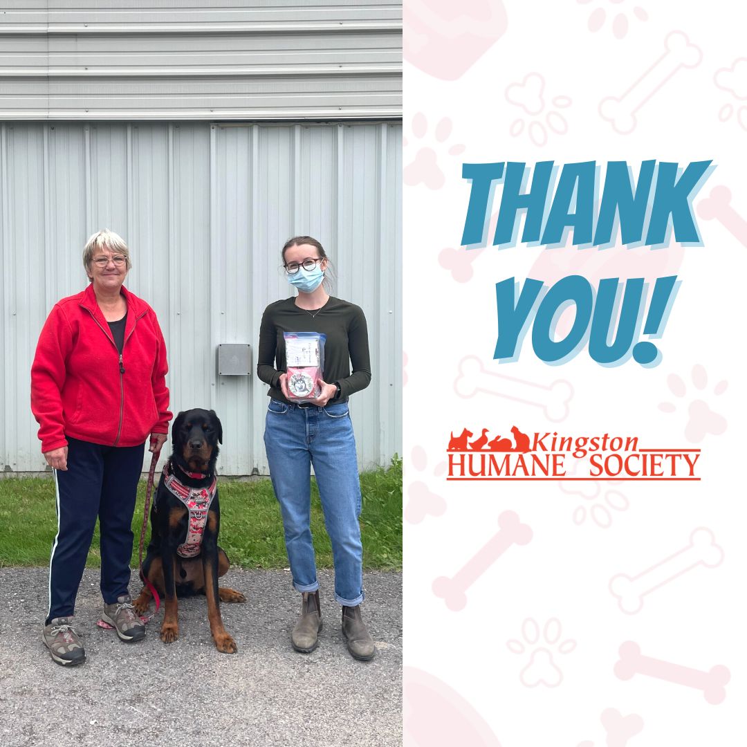 Happy #ThankfulThursday! This week we're sending out a big thank you to Andrea and Houdini (who was adopted in 2020).

Andrea was nice enough to make and drop off some beautiful ornaments for us, and she brought Houdini along for a visit!

Thank you so much, Andrea and Houdini!