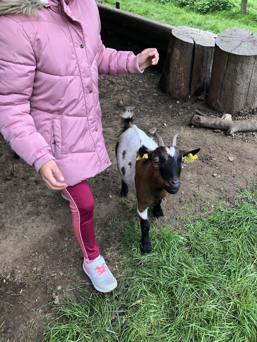 ANDES et la Fondation Bel donnent l'opportunité aux épiceries solidaires d'organiser des visites pédagogiques de ferme 🌿
Les clients bénéficiaires du Havre ont ainsi pu fabriquer du jus de pomme avec les fruits du verger et découvrir les animaux de la ferme.🍎🐄