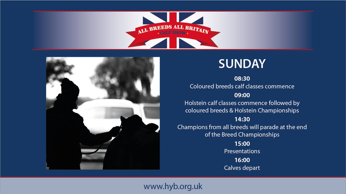 ABAB Calf Show tweet media