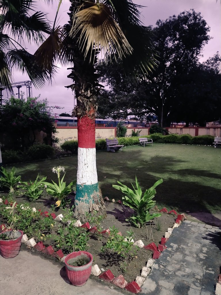 सहयोगदीप फाउंडेशन tweet media