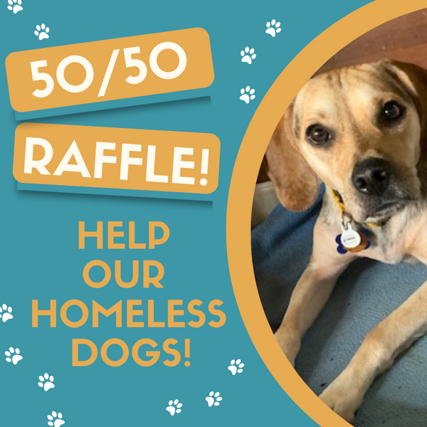 Bonnie has a special favor to ask you! #wbcrdogs #blono #raffle #rescueworks conta.cc/3rBHaCu