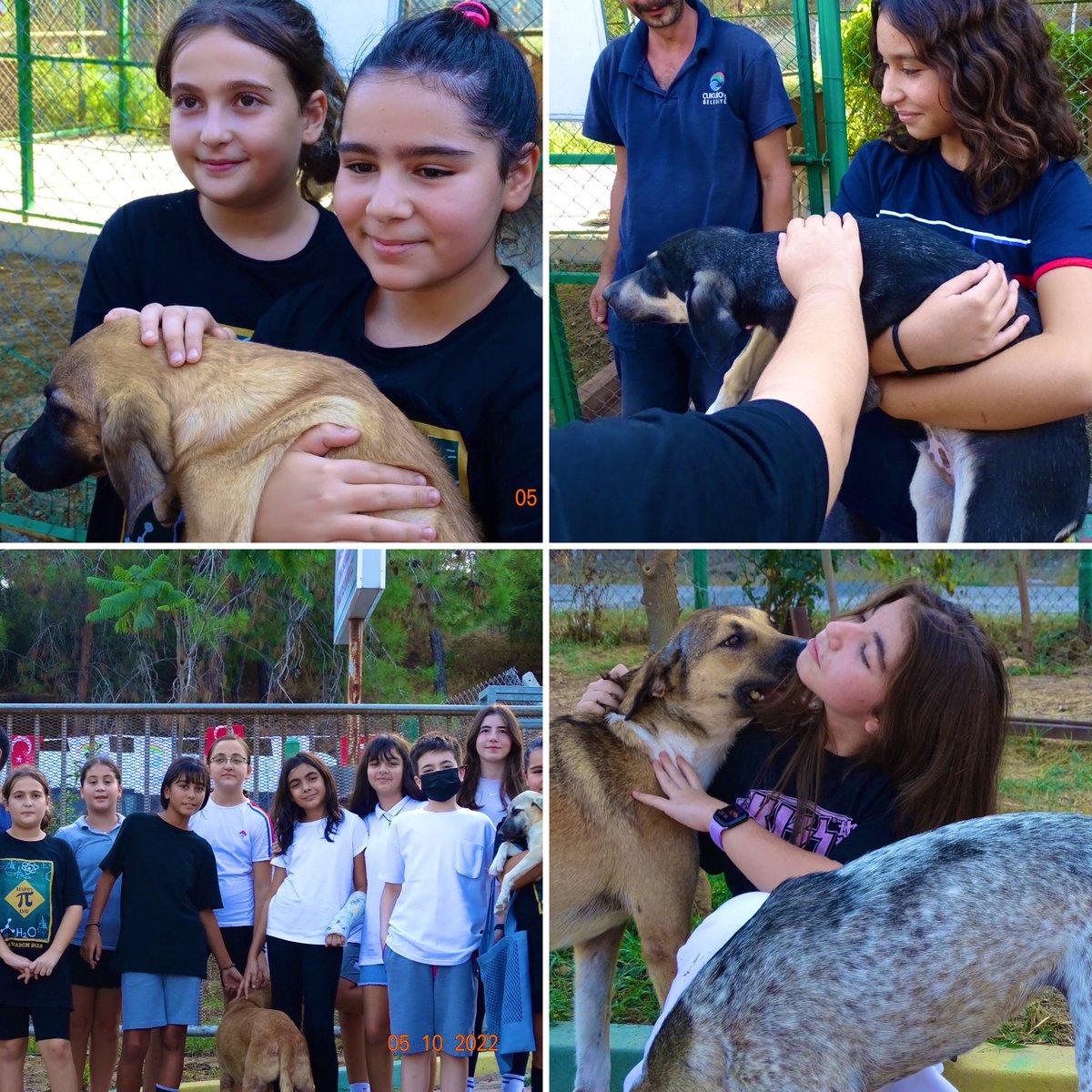 Ortaokul öğrencilerimiz, 🤝 Sosyal Sorumluluk ve Fotoğrafçılık 📷 Kulübü Üyeleri, Çukurova Bld. Hayvan Barınağı’nı ziyaret ederek yanlarında götürdükleri mamaları hediye 🎁 etti.
Dikkat ⚠️ : Fotoğraflar yüksek derecede mutluluk içermektedir 😍