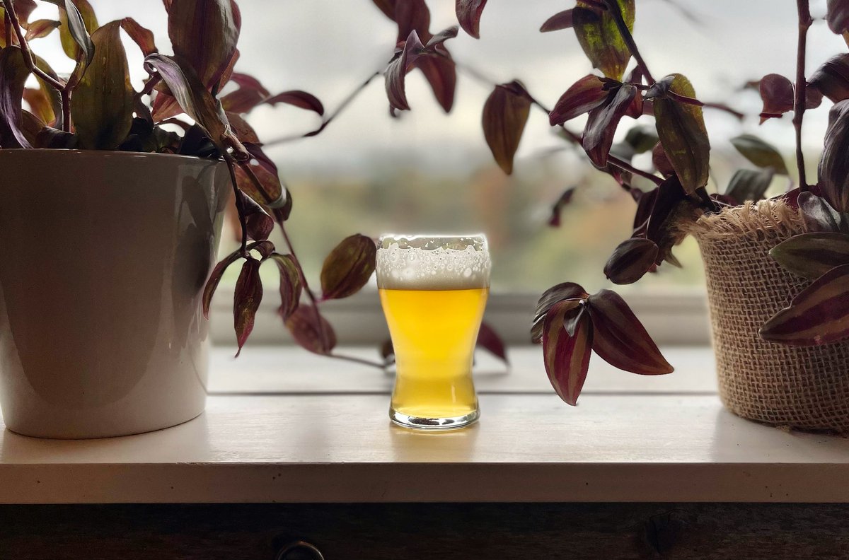 ScotlanderC's tweet photo. We welcome Honey Cone to the Scotlander Hive today! A West Coast IPA clocking in at 6% offers direct up front citrus notes that wind up in the pines.  
🍯 The honey used in fermentation was sourced right here in Argyle, NY 🐝 

#craftbeer #local https://t.co/ptGj0DOznG