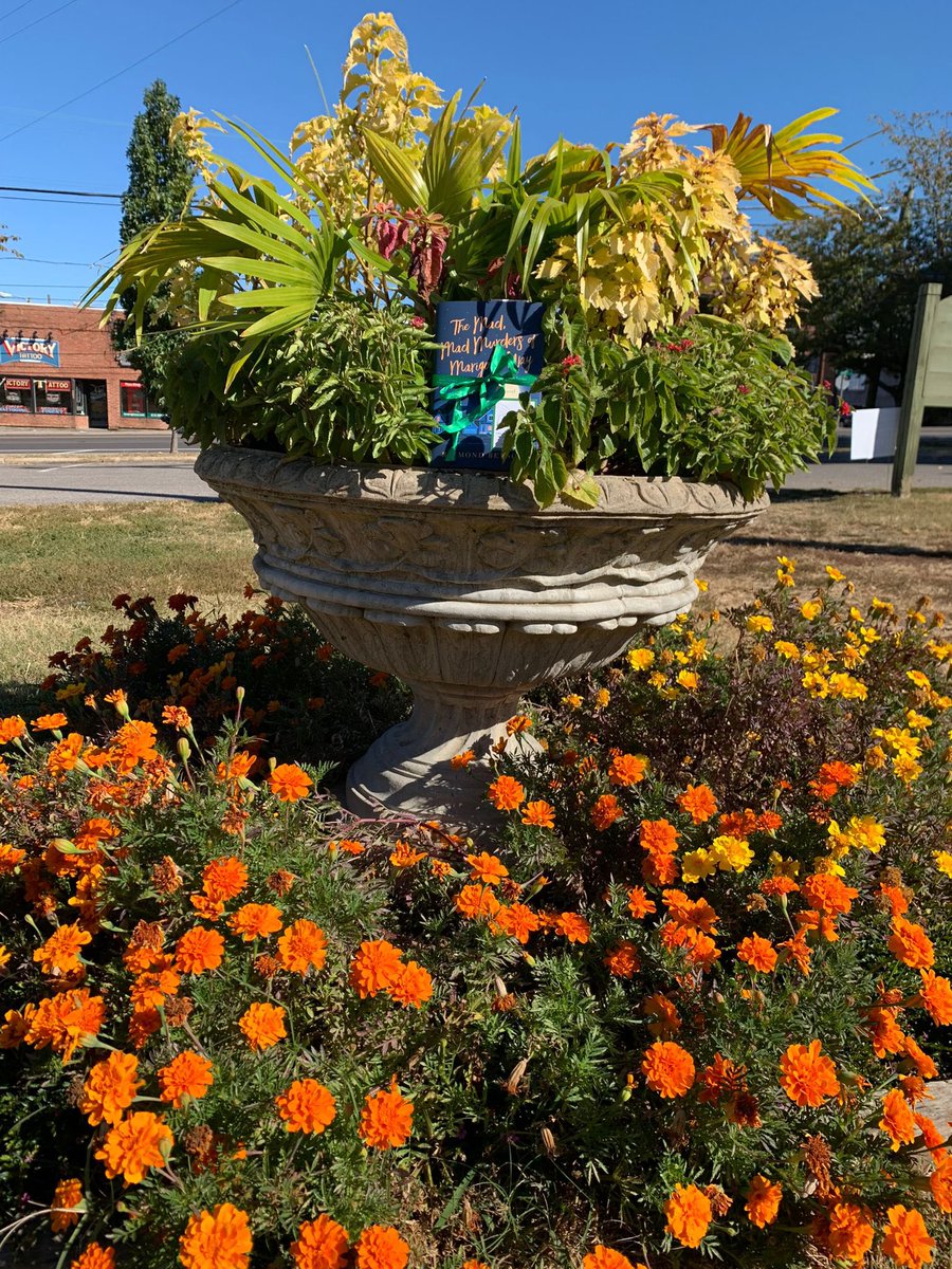 the_bookfairies's tweet photo. “Marigold Way was quiet, illuminated by the two tall streetlamps, but otherwise dark and lonely.”

The Book Fairies of the US are out hiding copies of #themadmadmurdersofmarigoldway by @RaymondBenson! Will you spot one near you? 😱👀

#ibelieveinbookfairies #bookfairies https://t.co/OHwif0zT3H