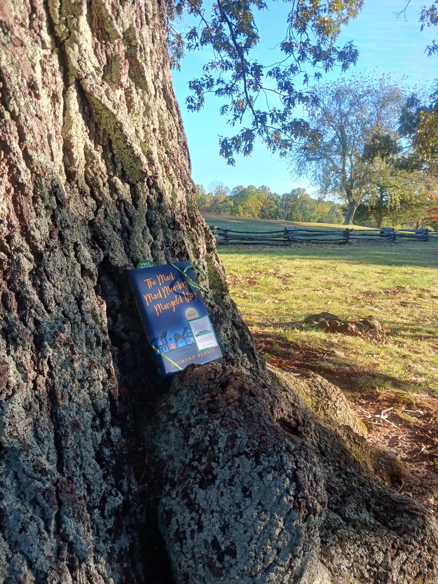 the_bookfairies's tweet photo. “Marigold Way was quiet, illuminated by the two tall streetlamps, but otherwise dark and lonely.”

The Book Fairies of the US are out hiding copies of #themadmadmurdersofmarigoldway by @RaymondBenson! Will you spot one near you? 😱👀

#ibelieveinbookfairies #bookfairies https://t.co/OHwif0zT3H