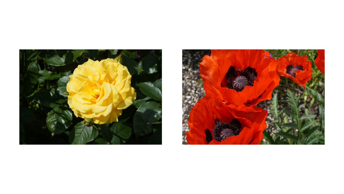 PostSocBritain tweet media