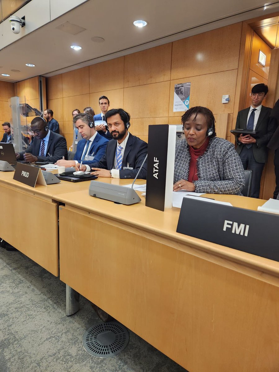ATAFtax's tweet photo. ATAF Deputy Executive Secretary Mary Baine expressed concerns that the Pillar One rules don't allocate sufficient profits to African countries during the 14th Meeting of the OECD Inclusive Framework on BEPS in Paris, France.

#ATAF 
#PillarOne 
#BEPS
#Tax
#InclusiveFramework https://t.co/VksqGEslu7