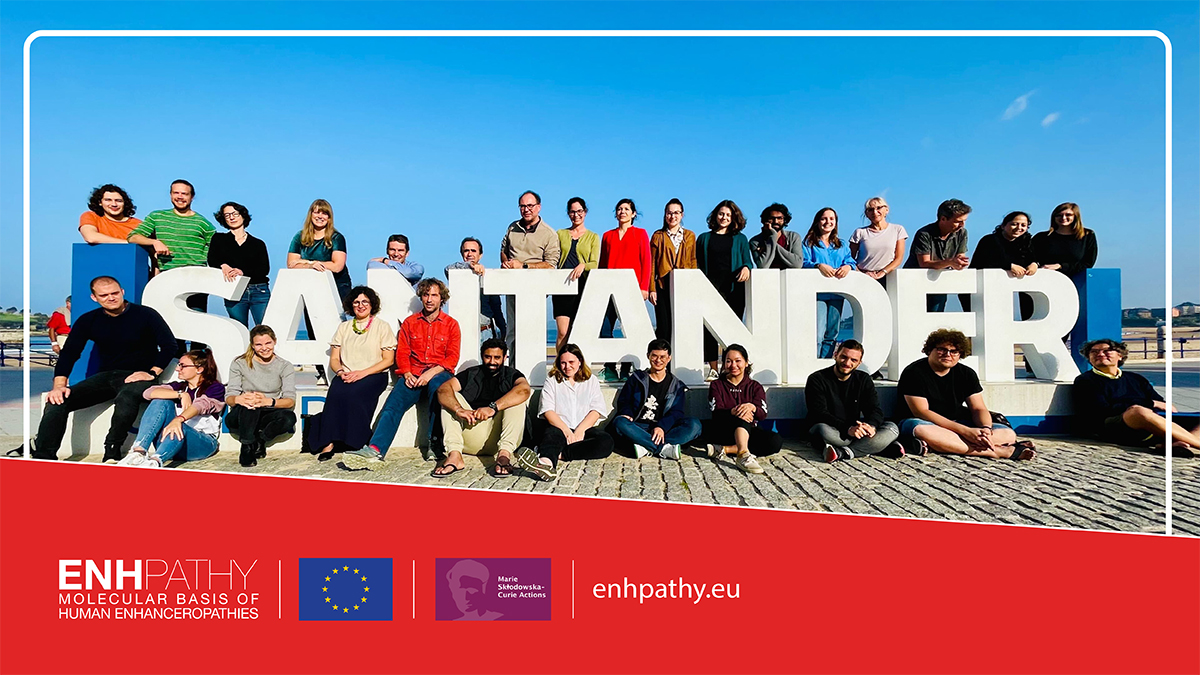enhpathy_H2020's tweet photo. We had a great Autumn School in Santander! We thank all PIs, guest speakers, partner organizations and students for their participation. See you all in @marseille for our next event.
#enhancers #enhanceropathies
@MSCActions https://t.co/nd4aP8GEpm