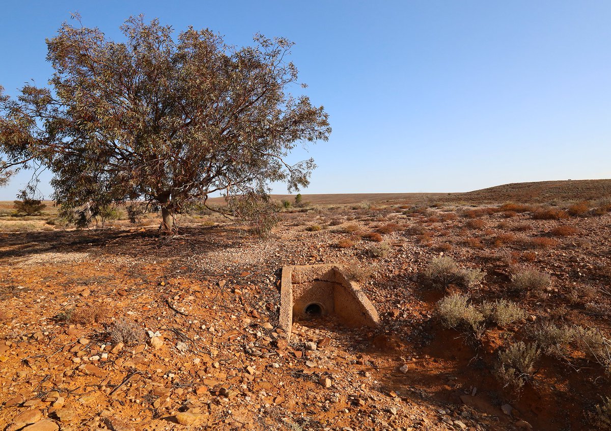 SandyHorne61's tweet photo. More photos from the site of the remote Island Lagoon Tracking Station (Deep Space Station 41) near Woomera. Not much left.
@HistoricSpace #SpaceScience https://t.co/P0HyYiDHxn