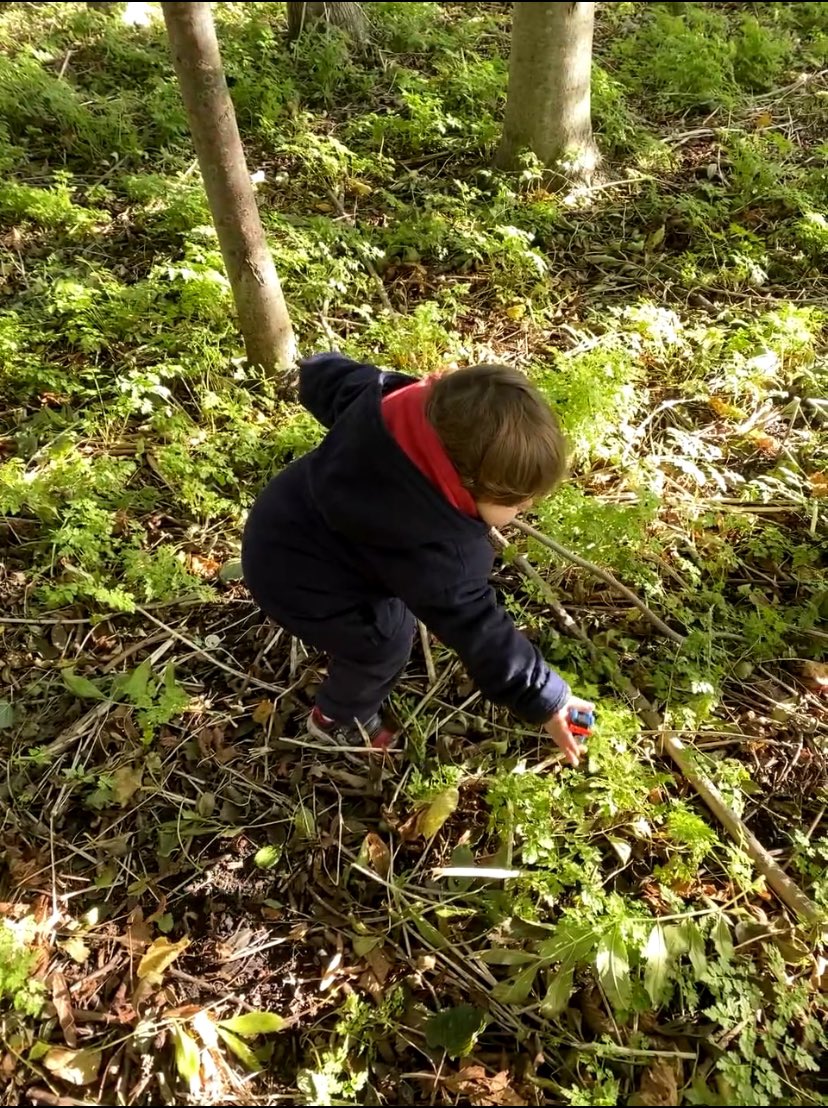 John Henry Falle tweet media