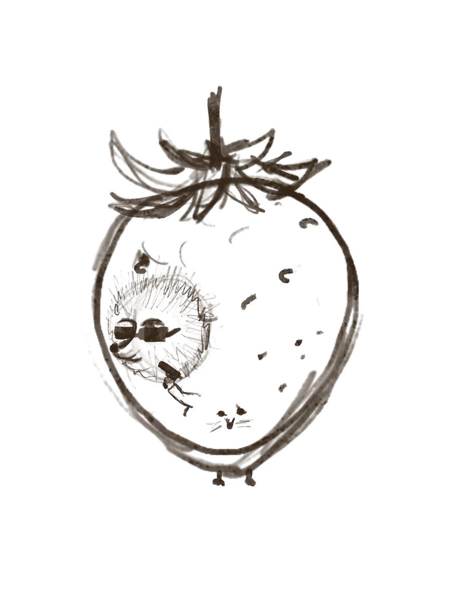 bodichka tweet media