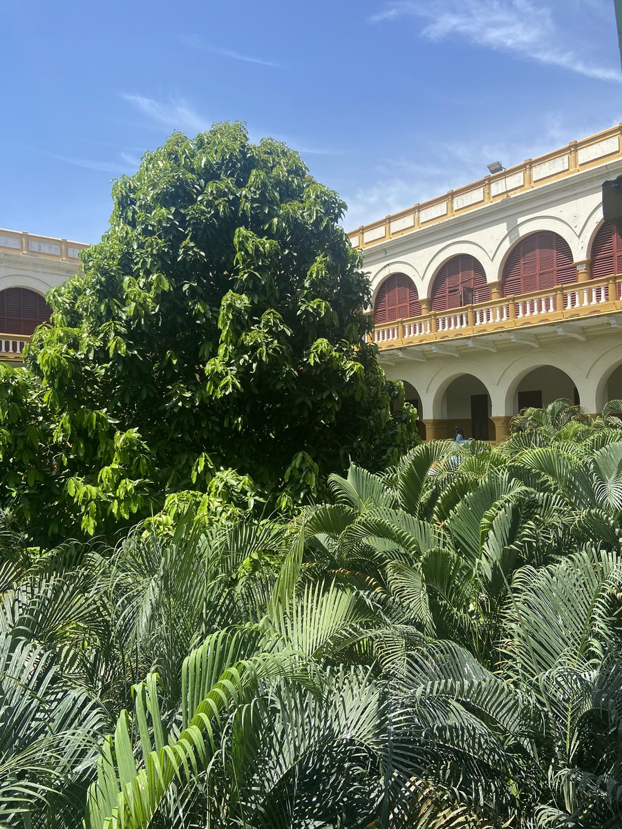 Universidad de Cartagena tweet media