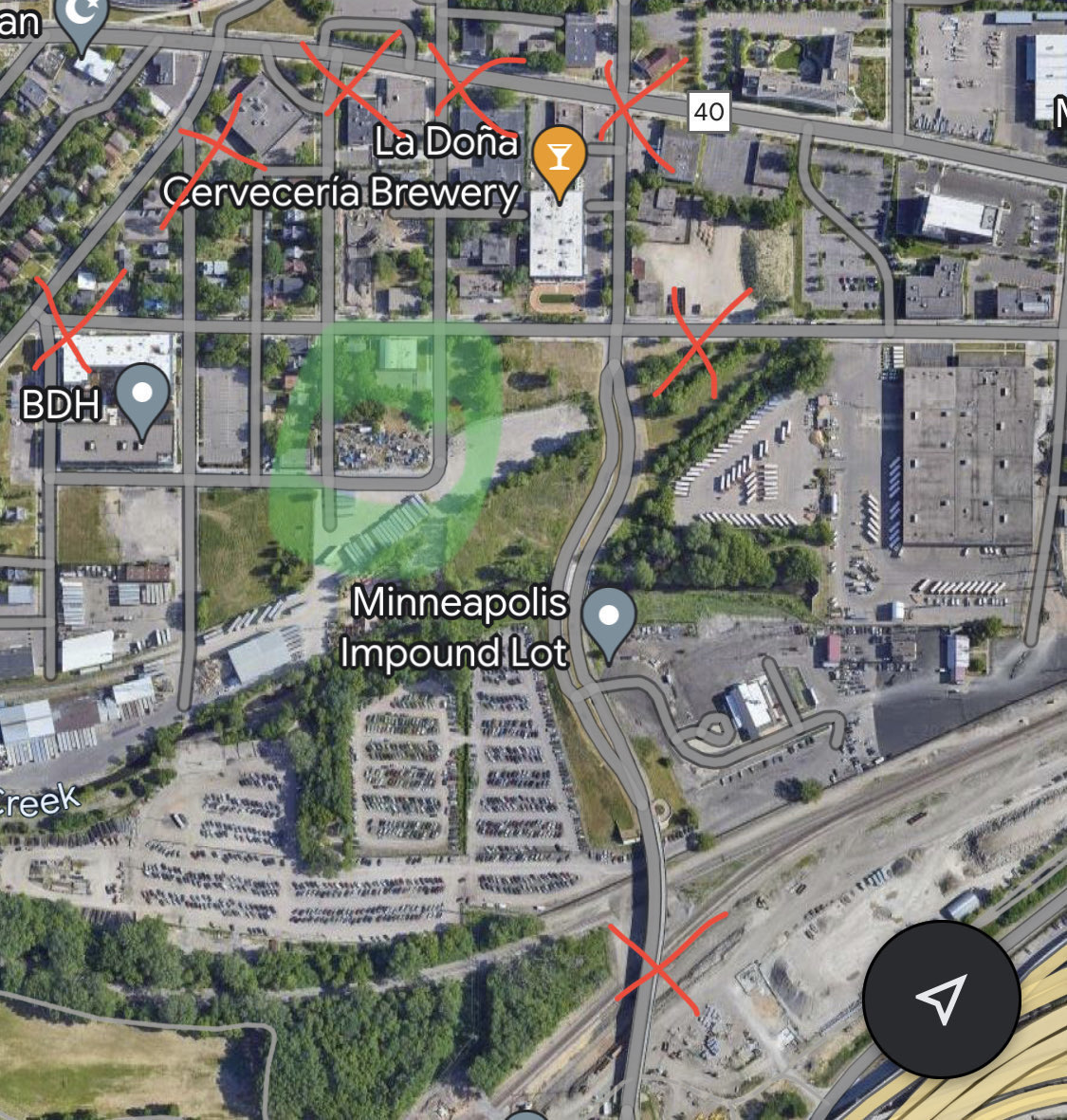 Katy Rex the Lizard Lady ❤️🦃 tweet media