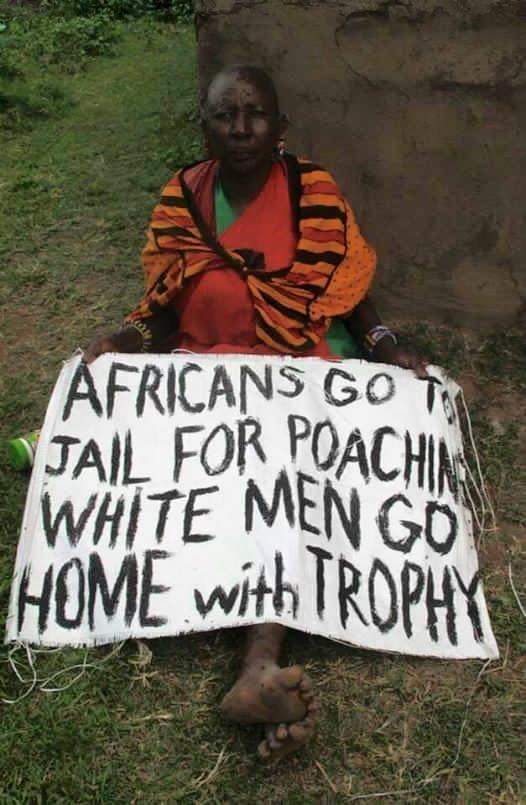 “Africans go to jail for poaching, white men go home with trophy" ~ Massai women 

Indigenous people hunting for food in their own land are being treated as poachers, while white people are allowed to hunt for trophies and fun on African ancestral land.