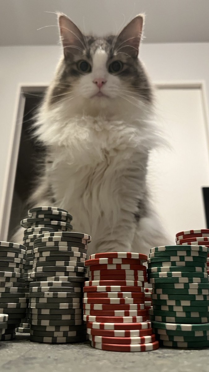 dendenp＠でんでん tweet media