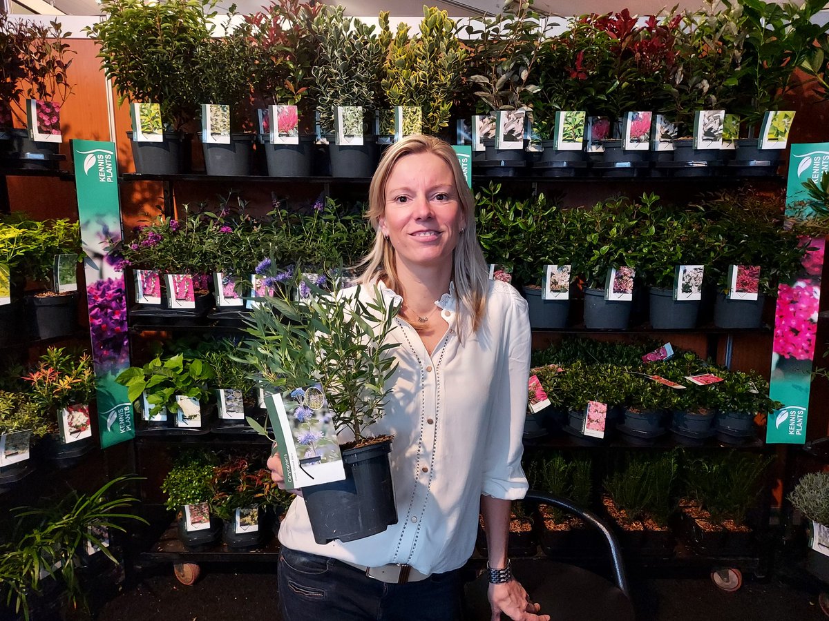 Make sure to visit Kennis Plants at GrootGroenPlus this week..Show closes tomorrow (Oct 7)  <a href="/grootgroenplus/">grootgroenplus</a> <a href="/Kennisplants/">Kennisplants</a>