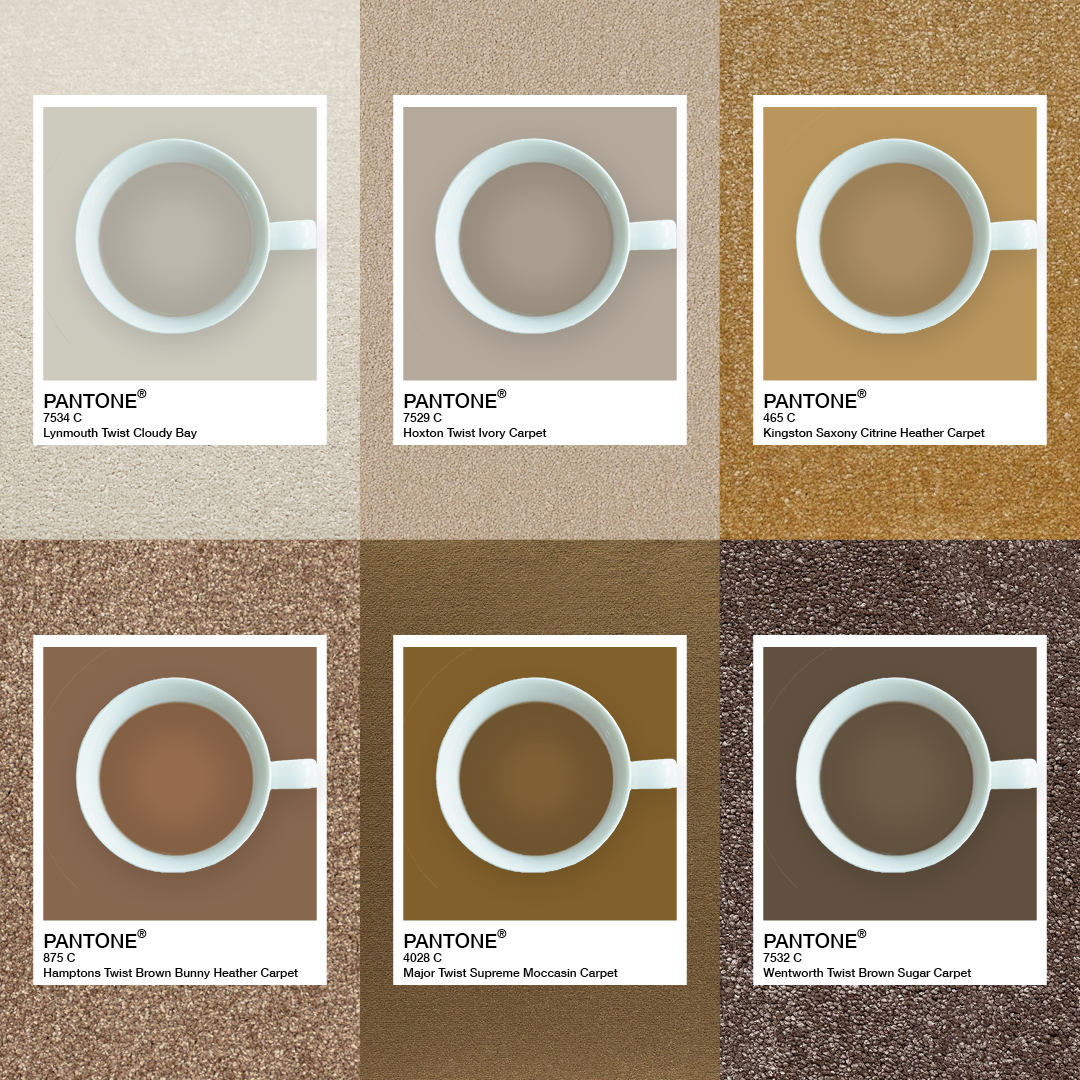 Which hue for your brew? ☕ Let's settle this debate reply with your brew hue #Tea #TeaLover #TeaTime