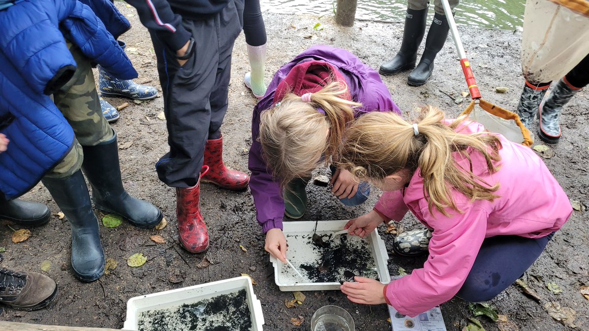 Foxes_Class's tweet image. We have had the BEST (and slightly wet) time yesterday at @coombeabbeypark. Here's a small impression of our pond dipping and river study.