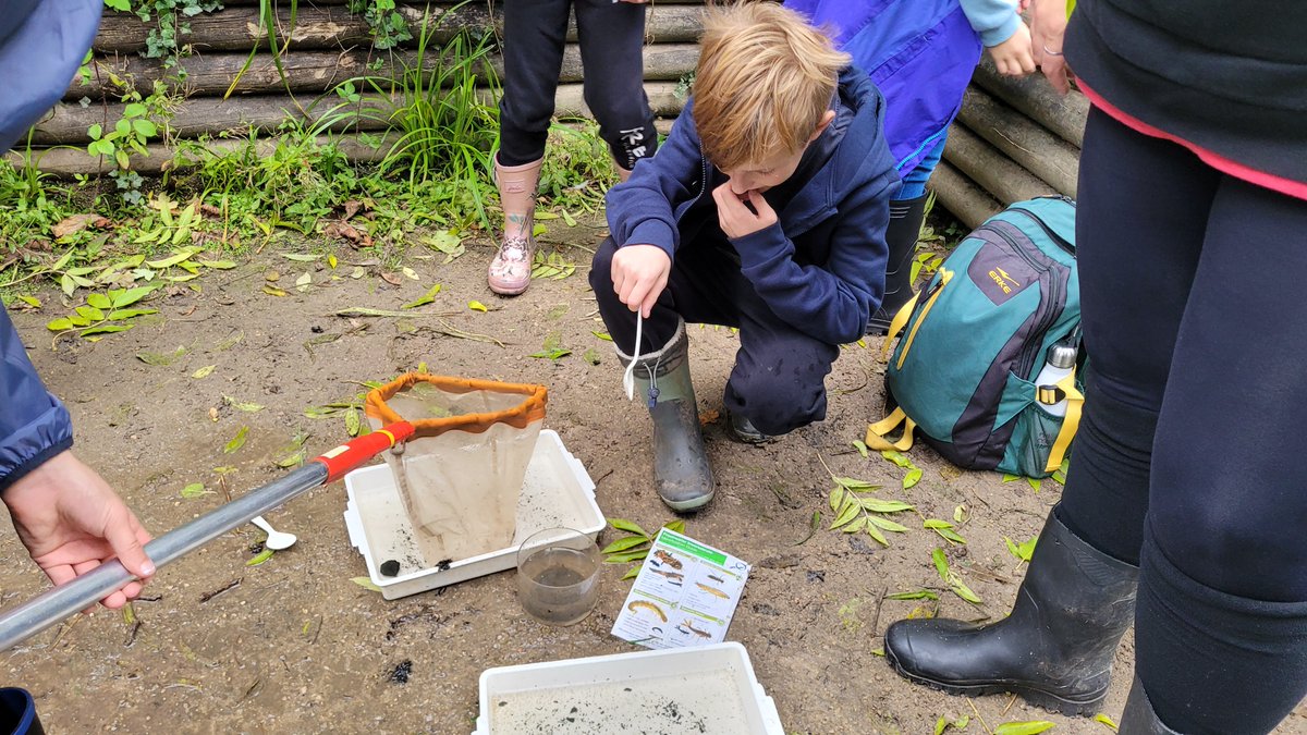 Foxes_Class's tweet image. We have had the BEST (and slightly wet) time yesterday at @coombeabbeypark. Here's a small impression of our pond dipping and river study.