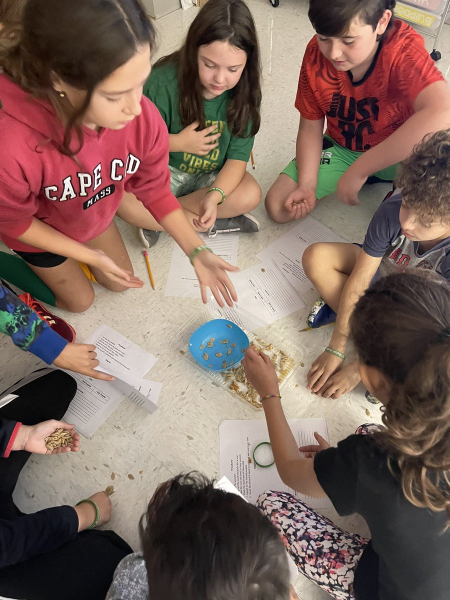 Mrs Sheehan tweet media