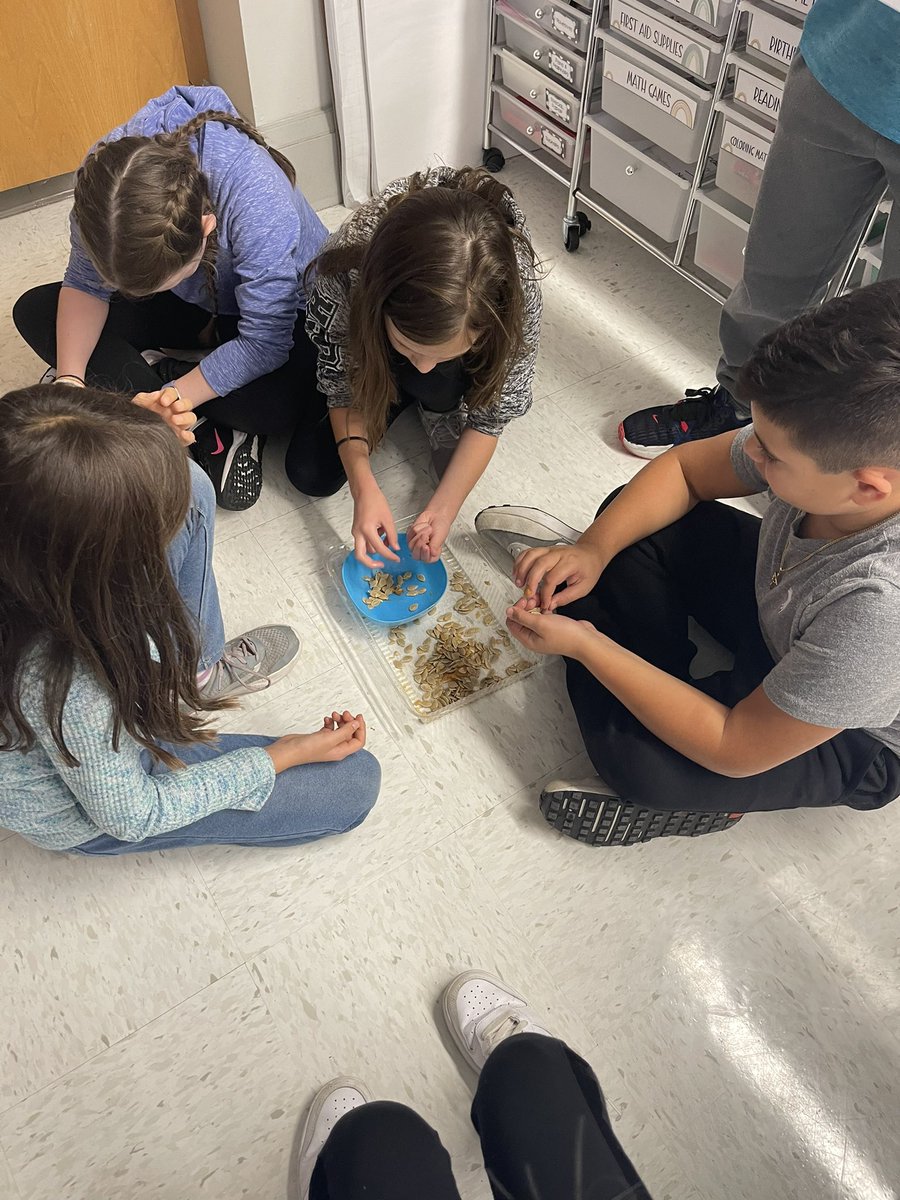 Mrs Sheehan tweet media